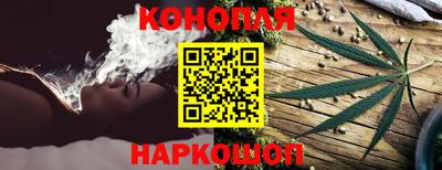 шишки Владивосток